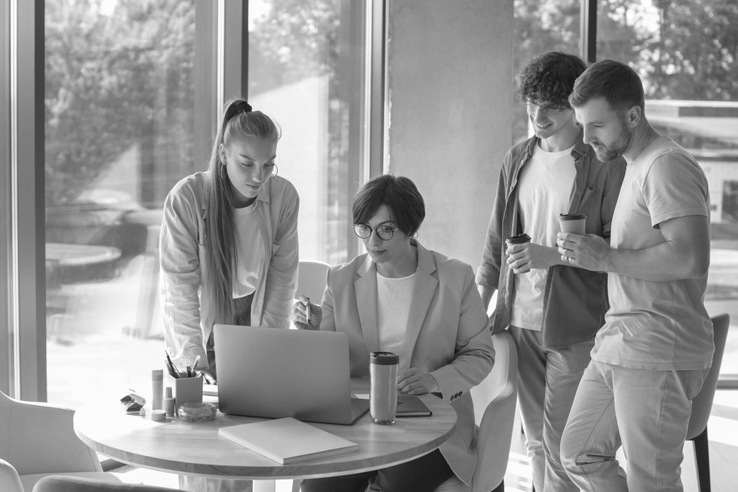 Professional business planning environment with strategic documents